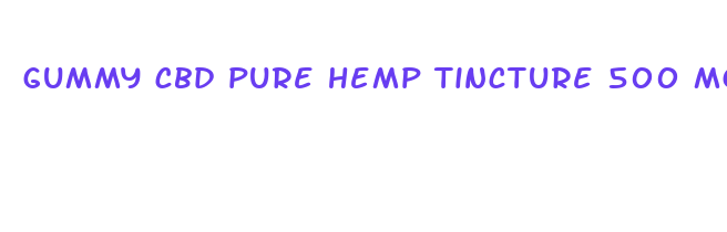 gummy cbd pure hemp tincture 500 mg 30 ml