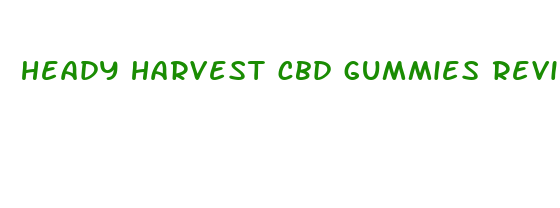 heady harvest cbd gummies review