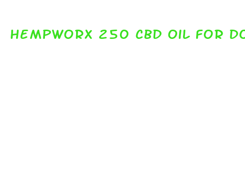 hempworx 250 cbd oil for dogs