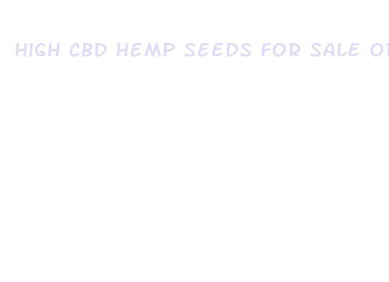 high cbd hemp seeds for sale oregon