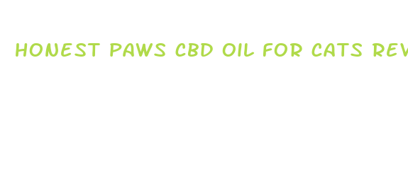 honest paws cbd oil for cats reviews