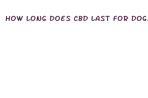 how long does cbd last for dogs