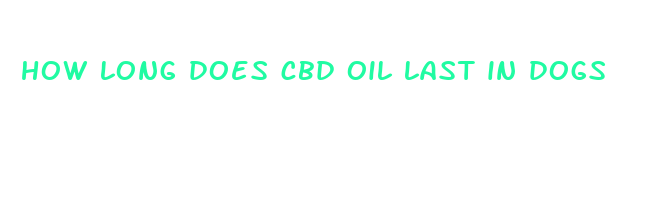 how long does cbd oil last in dogs