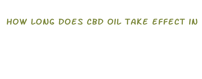 how long does cbd oil take effect in dogs