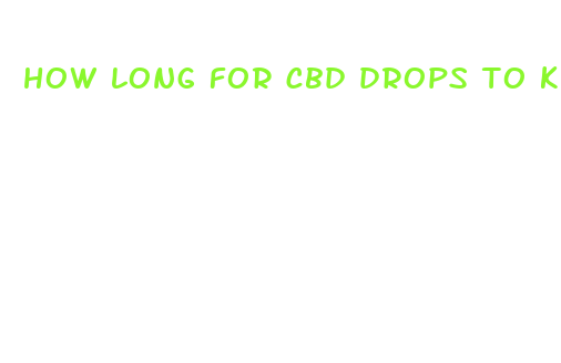 how long for cbd drops to kick in