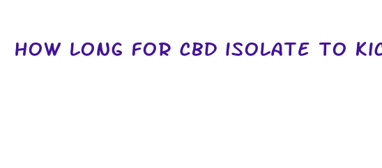 how long for cbd isolate to kick in dogs