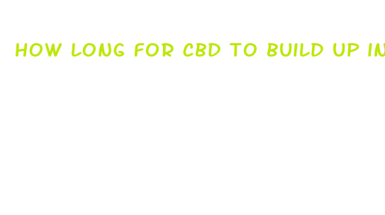 how long for cbd to build up in system