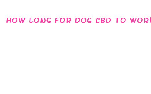 how long for dog cbd to work