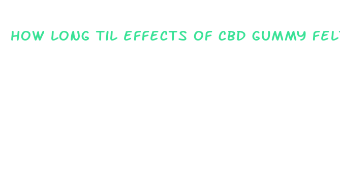 how long til effects of cbd gummy felt