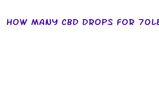 how many cbd drops for 70lb dog