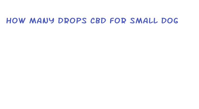 how many drops cbd for small dog