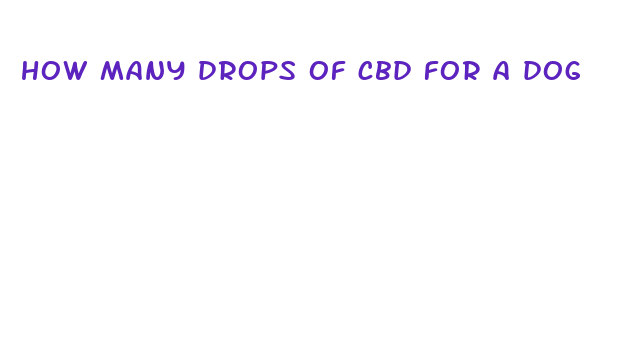 how many drops of cbd for a dog