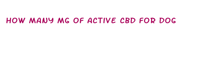 how many mg of active cbd for dog