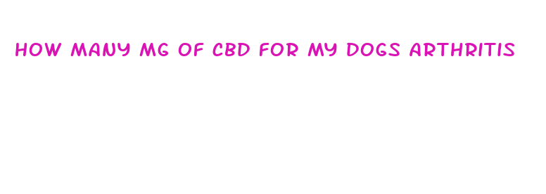 how many mg of cbd for my dogs arthritis