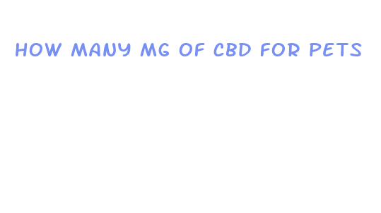 how many mg of cbd for pets