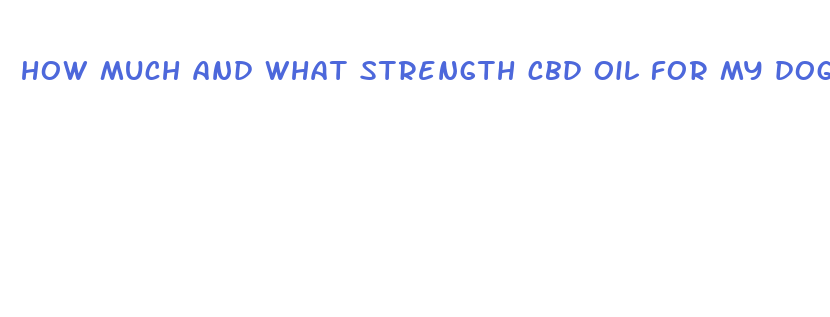 how much and what strength cbd oil for my dog