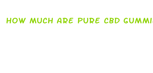 how much are pure cbd gummies