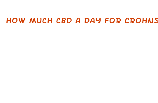 how much cbd a day for crohns