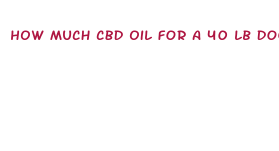 how much cbd oil for a 40 lb dog