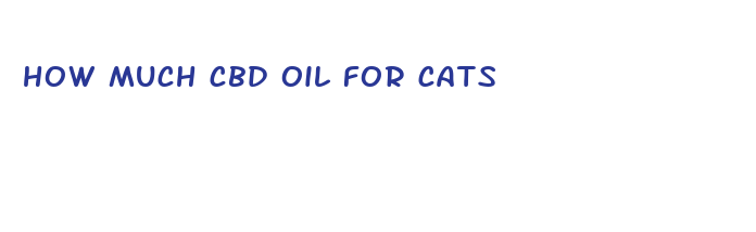 how much cbd oil for cats