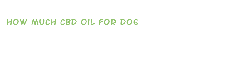 how much cbd oil for dog