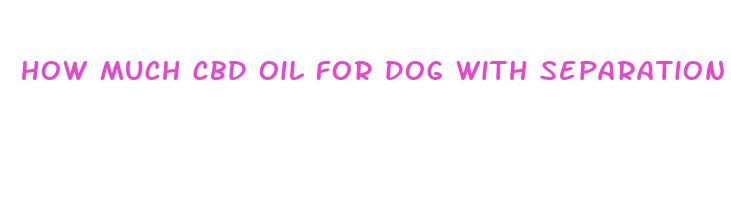 how much cbd oil for dog with separation anxiety