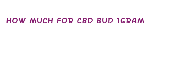 how much for cbd bud 1gram