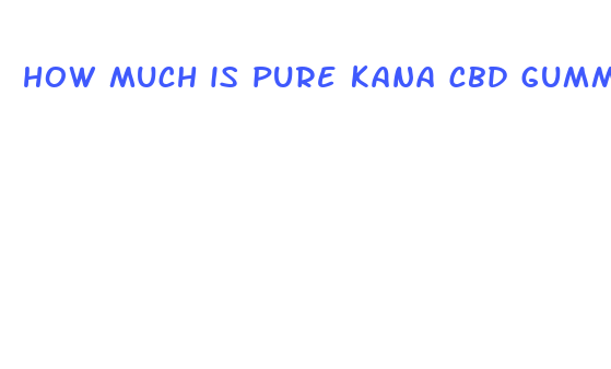 how much is pure kana cbd gummies