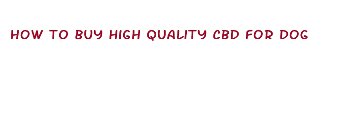 how to buy high quality cbd for dog