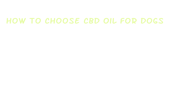 how to choose cbd oil for dogs