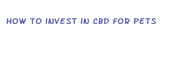 how to invest in cbd for pets