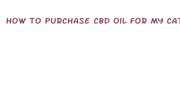 how to purchase cbd oil for my cat