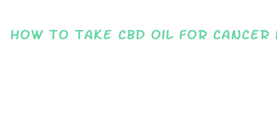 how to take cbd oil for cancer in cats