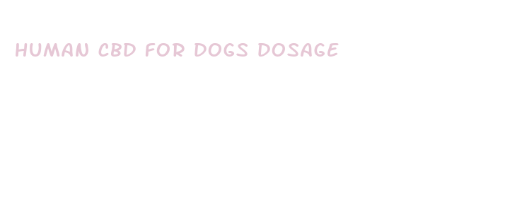 human cbd for dogs dosage