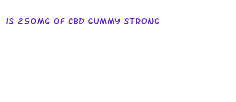 is 250mg of cbd gummy strong