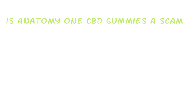 is anatomy one cbd gummies a scam