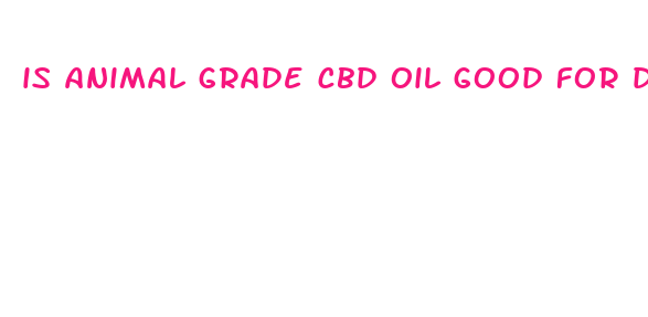 is animal grade cbd oil good for demensia in dogs