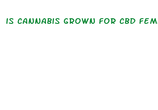 is cannabis grown for cbd female