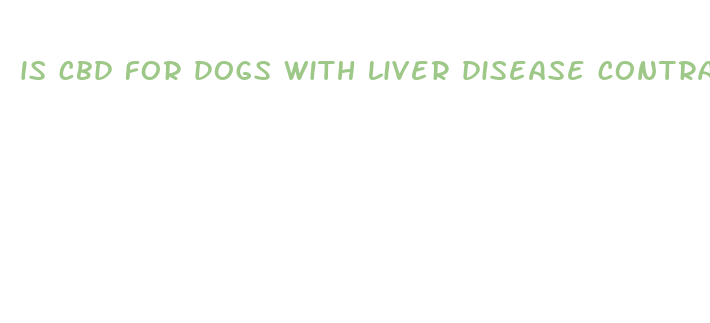 is cbd for dogs with liver disease contraindicated