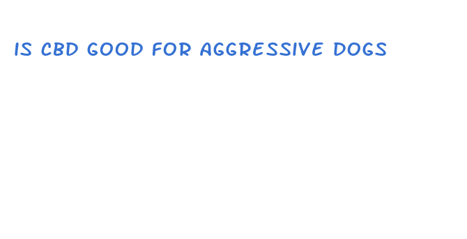 is cbd good for aggressive dogs