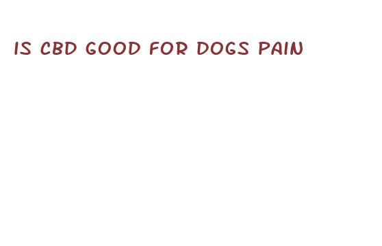 is cbd good for dogs pain