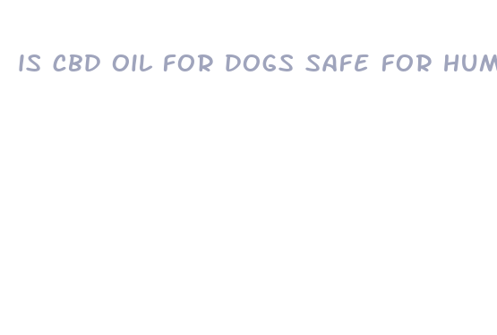 is cbd oil for dogs safe for humans