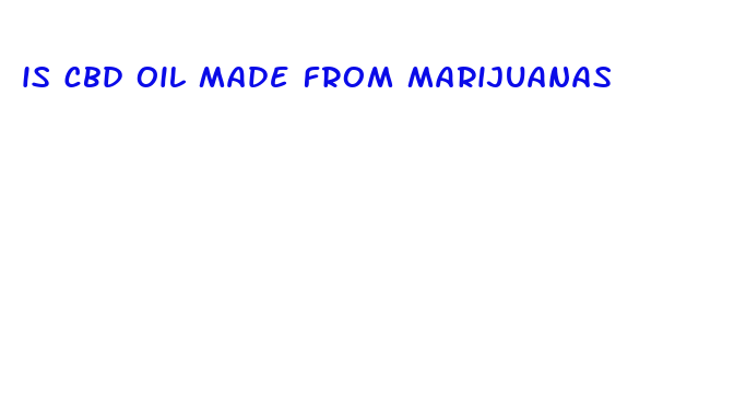 is cbd oil made from marijuanas