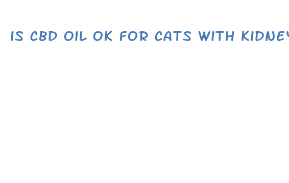 is cbd oil ok for cats with kidney disease