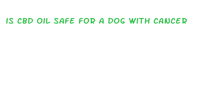 is cbd oil safe for a dog with cancer