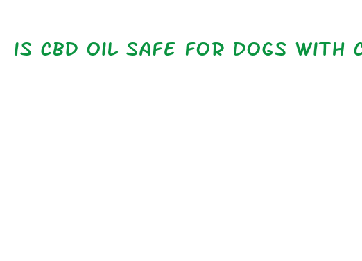 is cbd oil safe for dogs with congestive heart failure