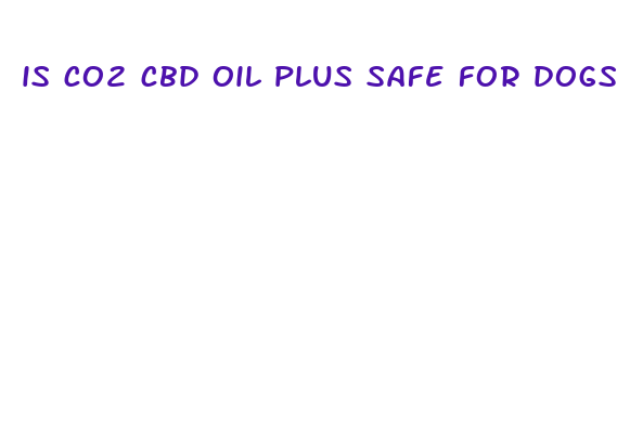 is co2 cbd oil plus safe for dogs