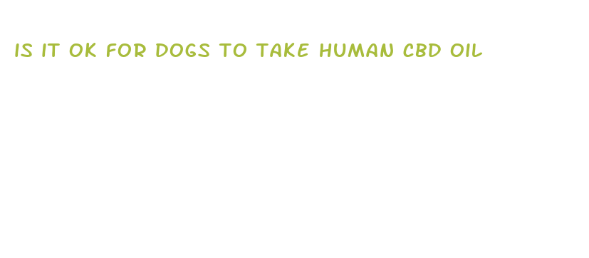 is it ok for dogs to take human cbd oil