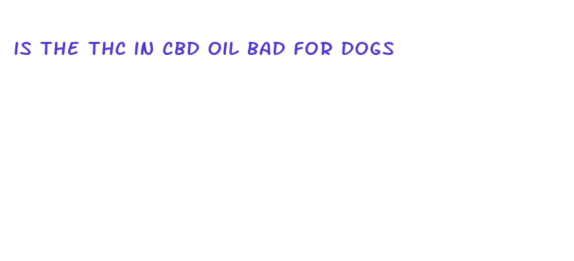 is the thc in cbd oil bad for dogs