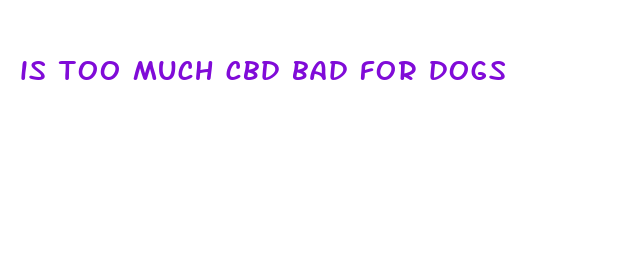 is too much cbd bad for dogs